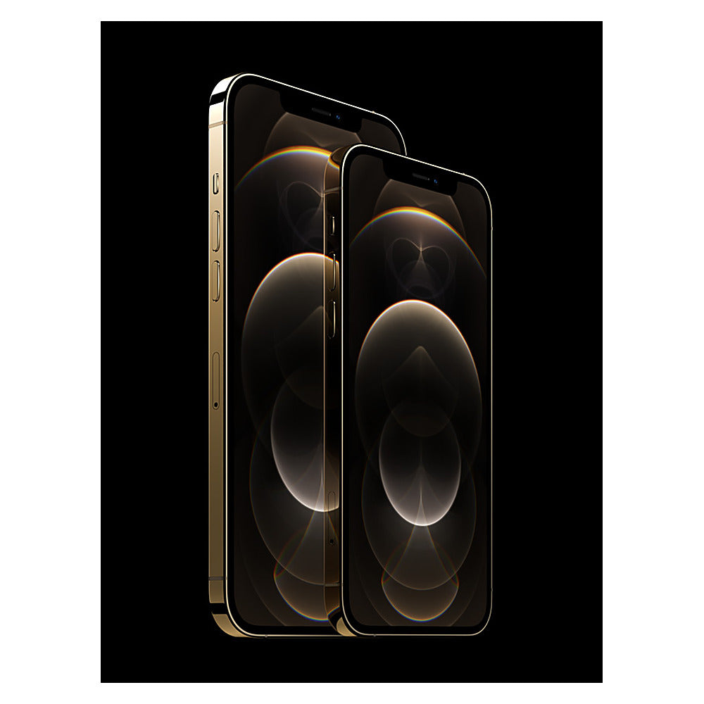 iPhone 12 Pro Max (vitrine)